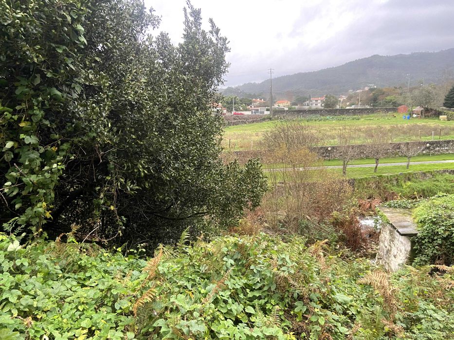 Terreno 830 m² em Afife | Rio e vista de mar | Potencial construtivo