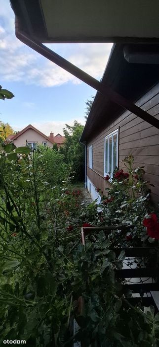 Dom drewniano - murowany, parterowy z piwnicą, strychem i garażem – pohled 2