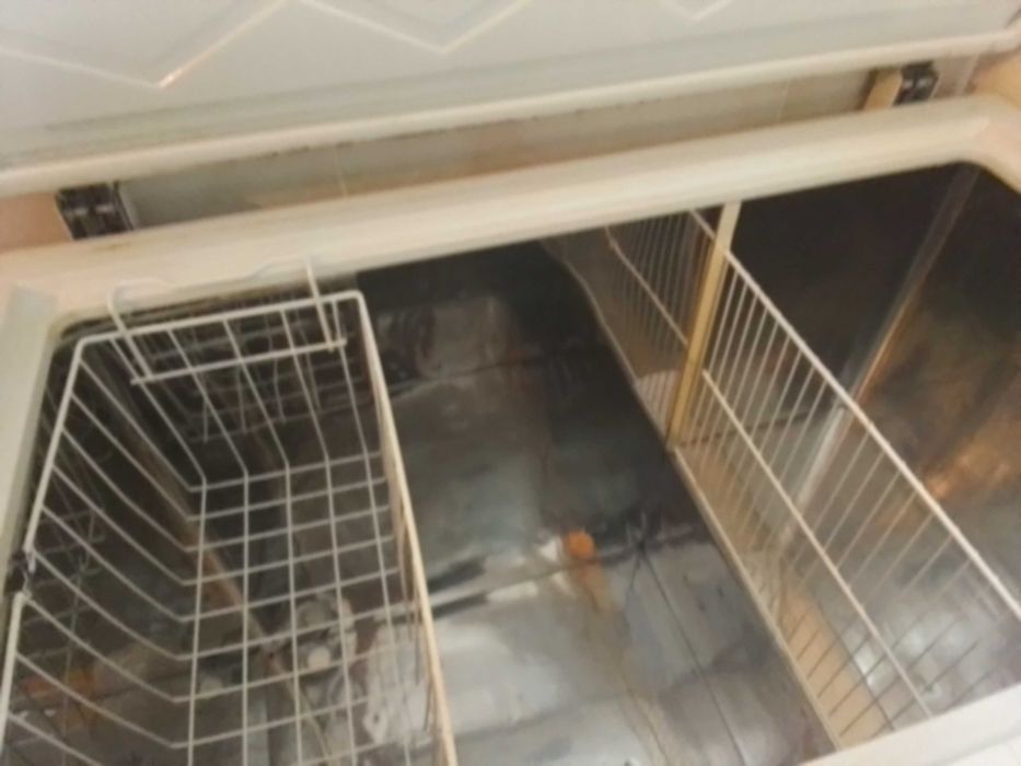 Arca congeladora Medidas 60cmx100cmx85cm