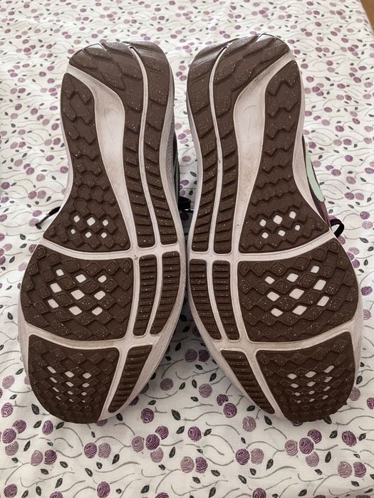 Nike zoom Pegasus 39