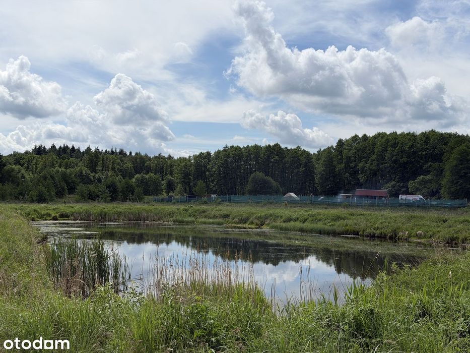 Działka nad jeziorem- Blisko Ińska | 3154 m² | Eko Park Storkowo