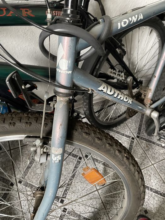 Rower author polecam