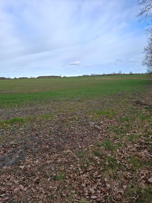 Działka  3,53 w Charnowie w sąsiedztwie doliny Charlotty 4 km od Ustki - Widok 2