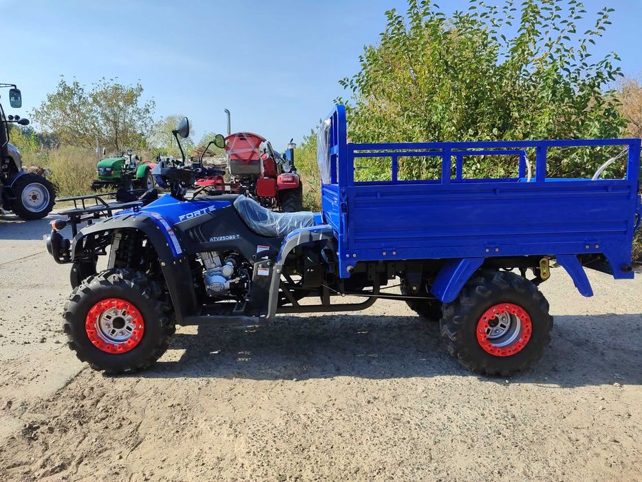 Квадроцикл Грузовой Форте 250 сс до 700кг