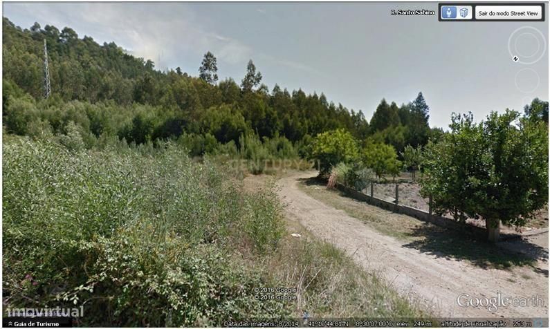 Terreno - Quinta Stª. Justa - Cultura e Pinhal - 6,98 ha - Valongo