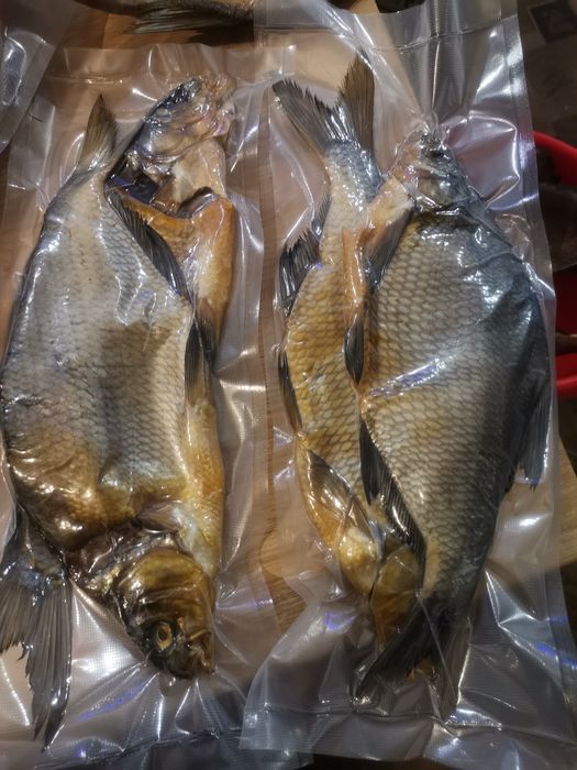 ( Рыба домашняя)