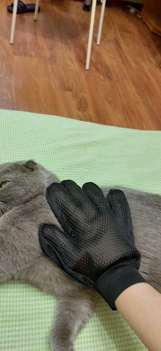 Рукавичка для вичісування шерсті True Touch — масаж, наложка