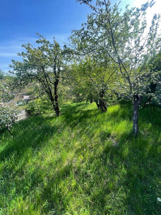 Дача село Шкарівка кооп Рось 2