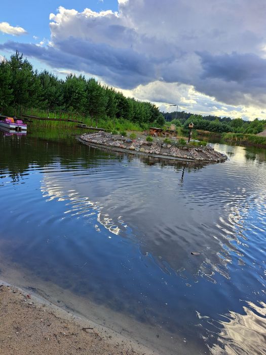 Koszenie trzcin odmulanie czyszczenie stawów i akwenów wodnych