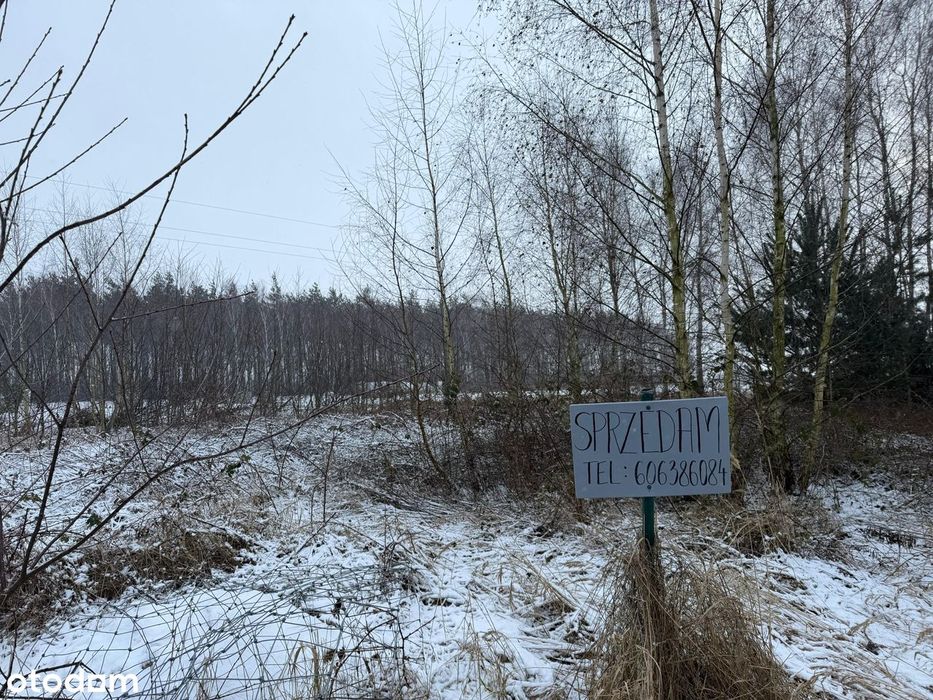 Sprzedam działkę Sapowice