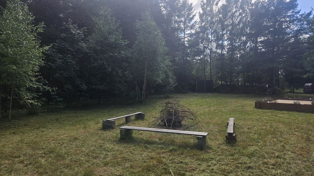 Działka Abisynia Borsk