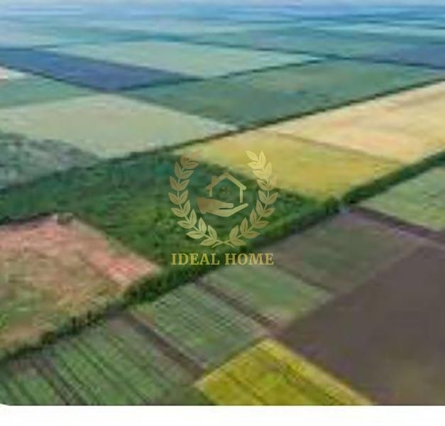 Продаж землі в Гнатівці, 50 соток