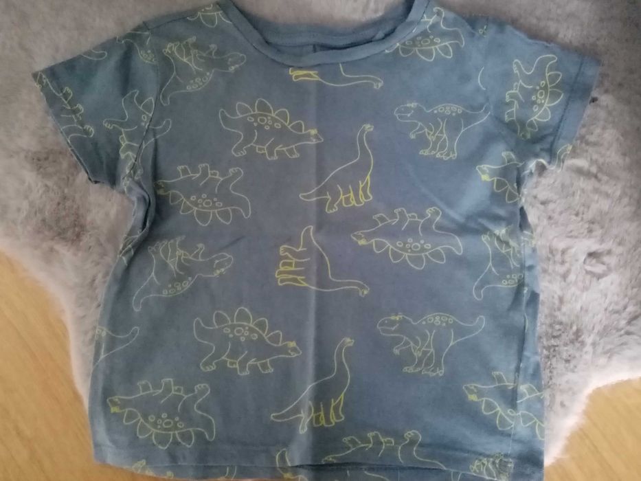 T-shirt chłopięcy dinozaury