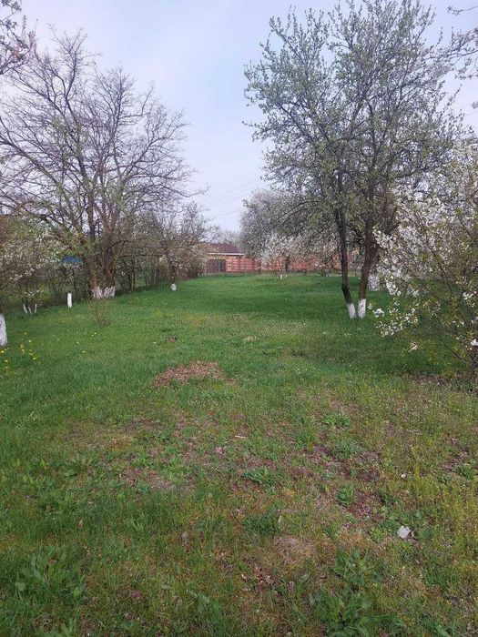 ПРОДАМ ДОМ в  с.Шибене