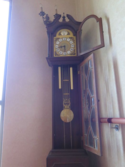 Relógio de pé alto e pêndulo, marca Tempus Fugit