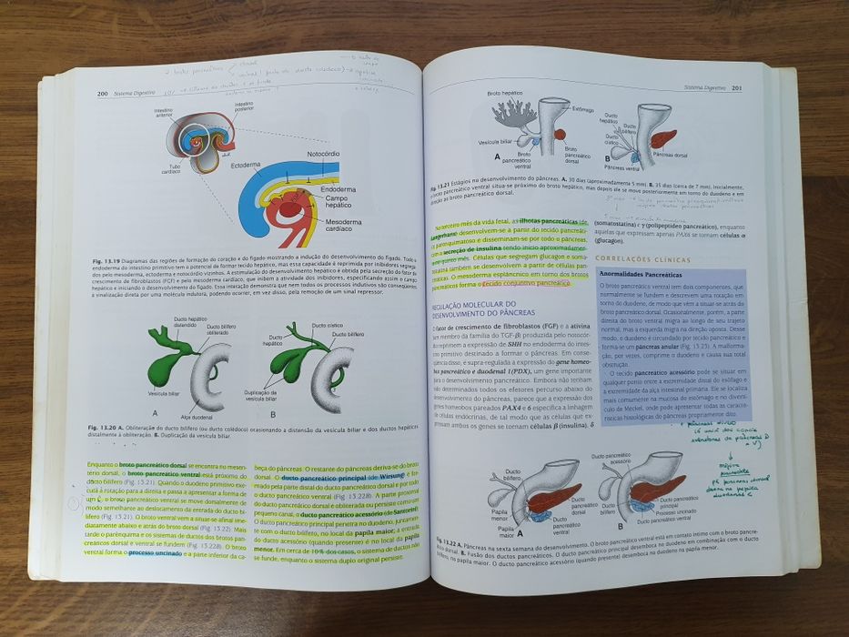 Langman Embriologia Medica