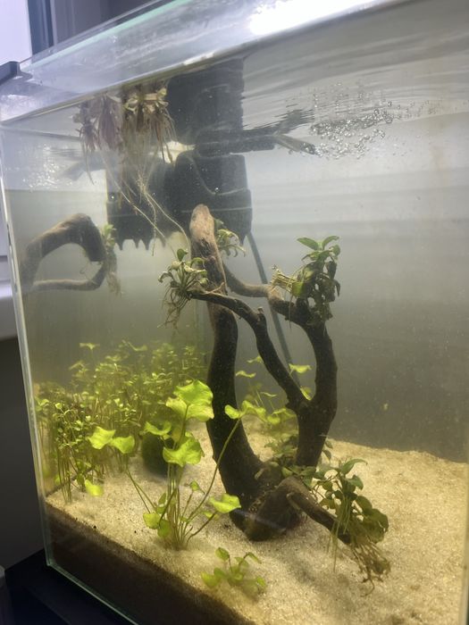 Sprzedam całe akwarium