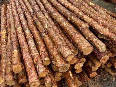 Sprzedam stemple budowlane 3 metrowe