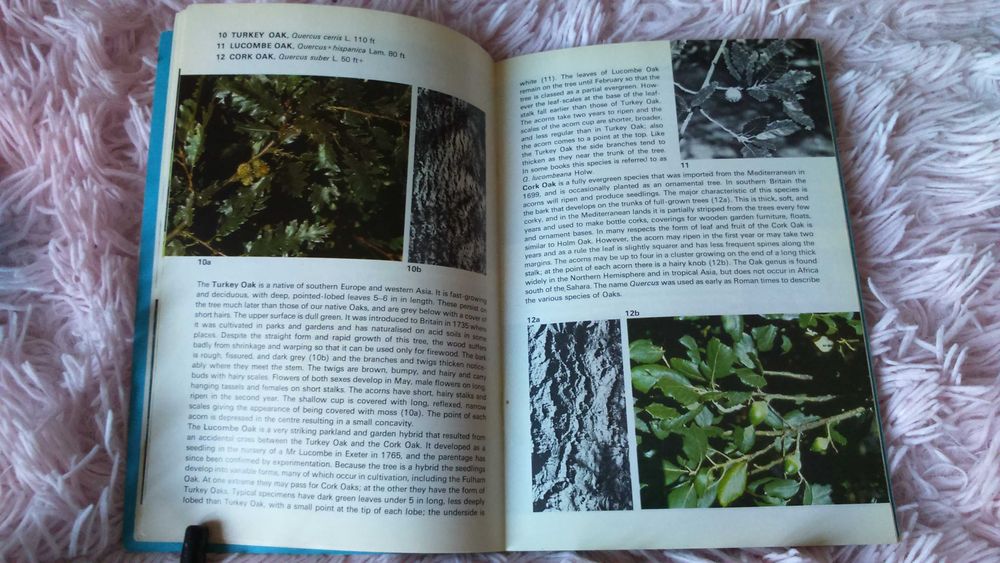 Книга англійська Trees in Britain  Дерева Британії Широколисті кн. 1