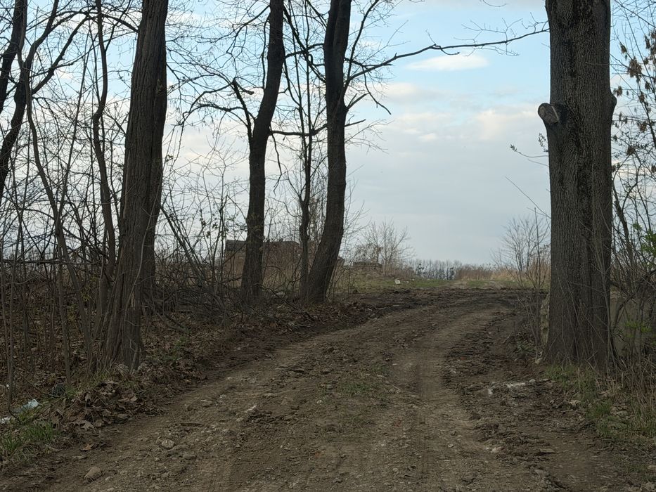 Ділянка 6 сот під забудову в Дублянах