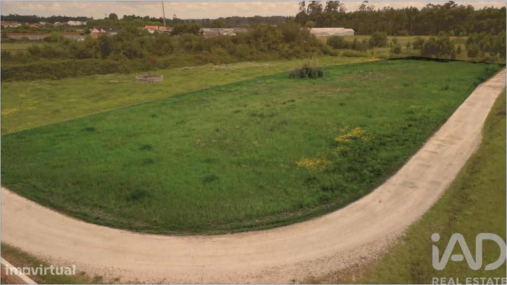 Terreno Agrícola em Vagos e Santo António