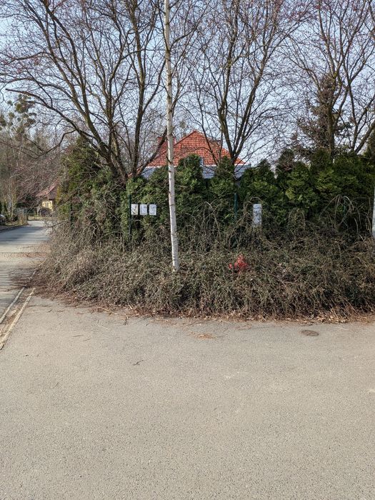 Koszenie trawy, grabienie liści, Porządki ogrodowe