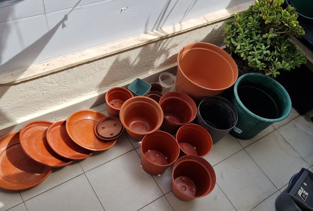 Vasos conjunto 15-40cm só 9eur