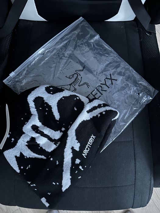 Шапка Arc'teryx Bird Head Toque.