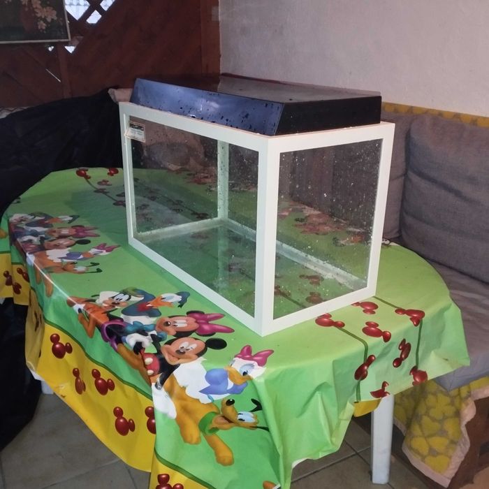 Akwarium 61x38x32 + pokrywa dużo modeli w ofercie