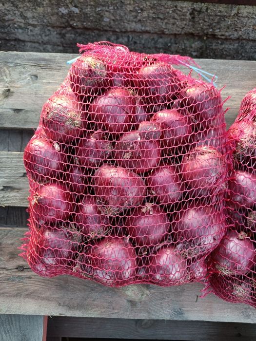 Cebula czerwona 1kg