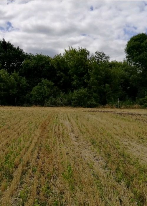 Продам ділянку під забудову в Київській обл., Обухівський р-н,7500