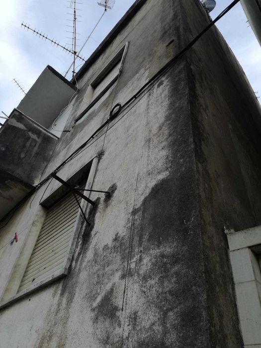 pinturas reparações substituição telhados