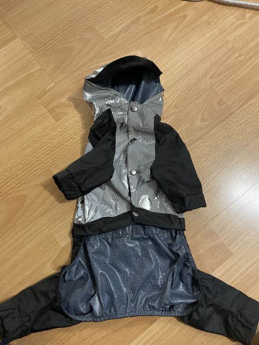 Дощовик собачий