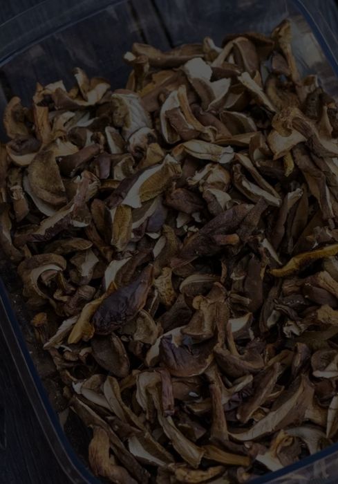 Grzyby suszone  prawdziwki kozaki  podgrzybk.  1 kg