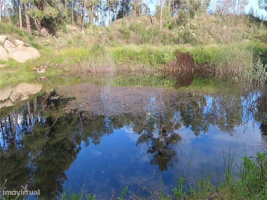 Quinta  para venda — Alpedrinha, Castelo Branco