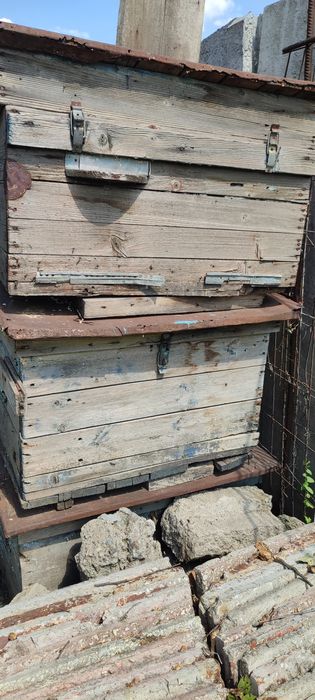 Продам     улики