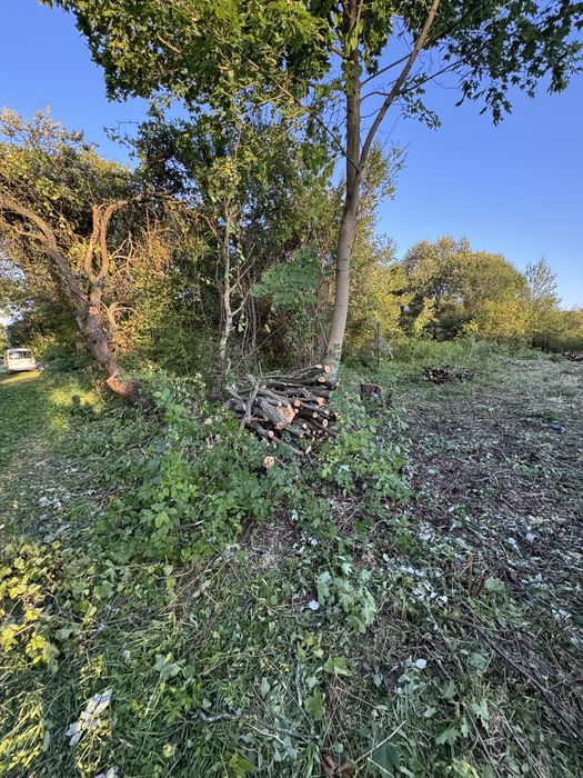 Порізка,чистка ділянок,обрізка дерев, корчування коріння