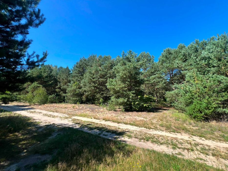 Działka budowlana 1442 m² na skraju lasu – Władysławów (97-225) - Widok 4