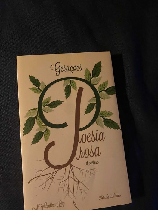 poesia prosa de M Valentina Luz Gerações