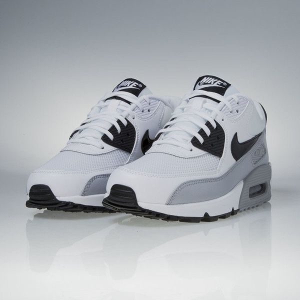 Кросівки Nike Air Max 90 Essential white  616730-111