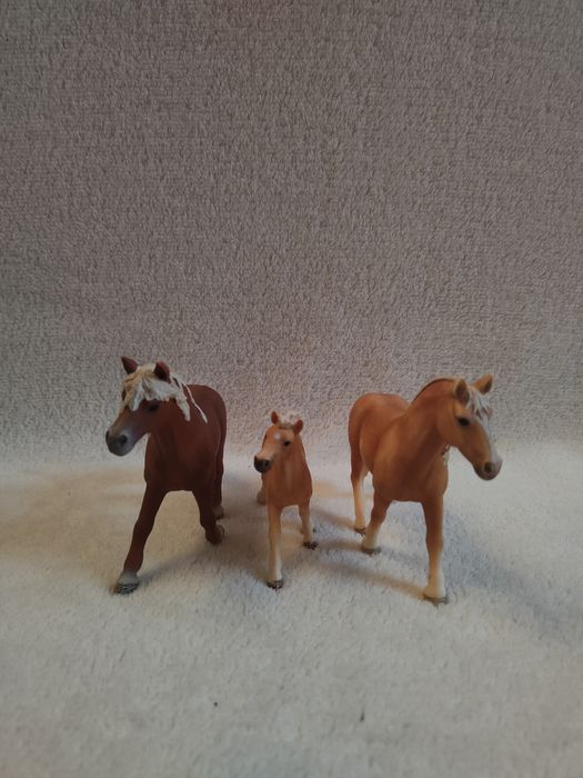 rodzina rasy haflinger schleich