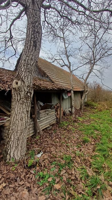 Будинок в Кальнику Закарпаття