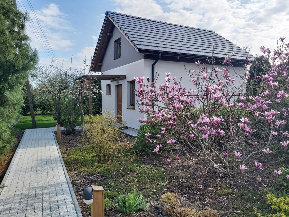 Wynajem domków całorocznych - krótkoterminowy