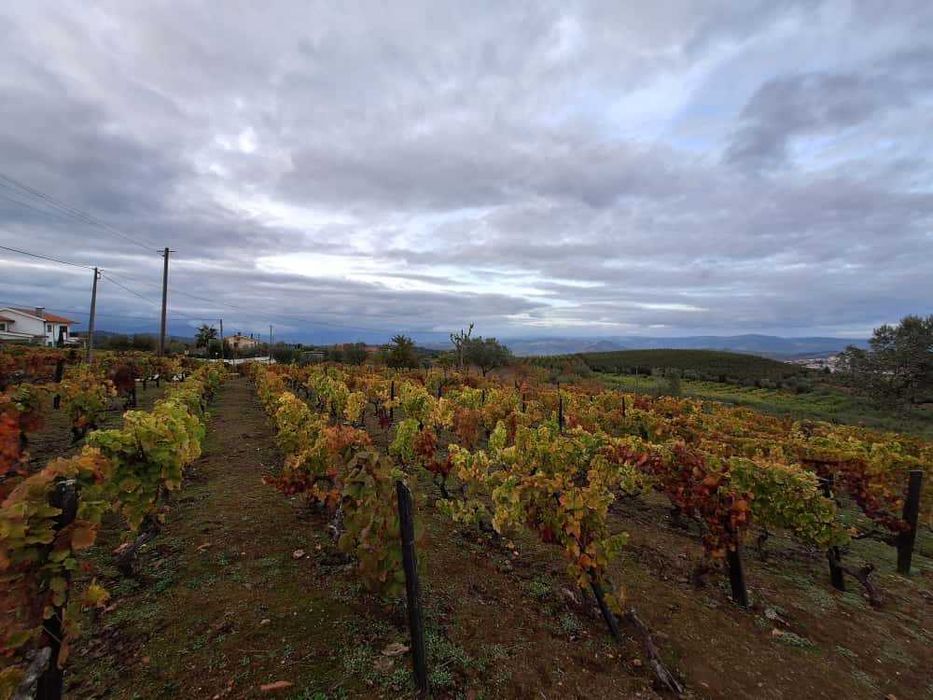 Terreno para construção