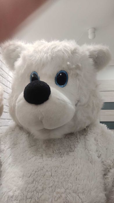 Żywe maskotki wynajem wysyłkowy strojów Misio Piesek Panda Kot Smok
