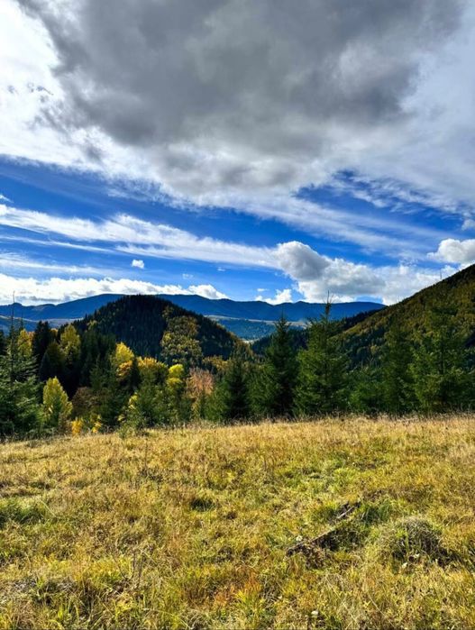 Земля в Карпатах з видом на Чорногірський хребет