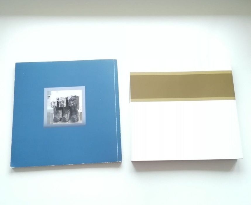 Книга Альбом Архитектура модерн и книга альбом художественный