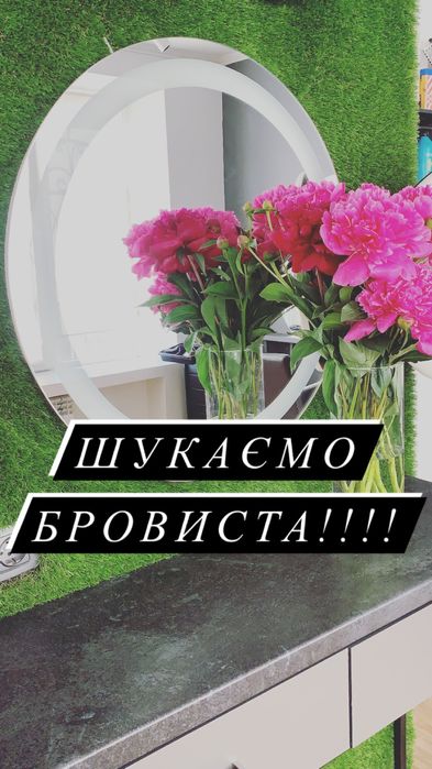 Пропоную роботу бровиста