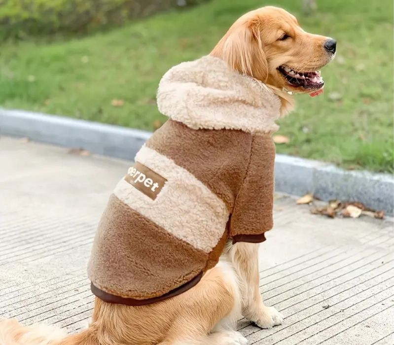 Худи для собаки новое