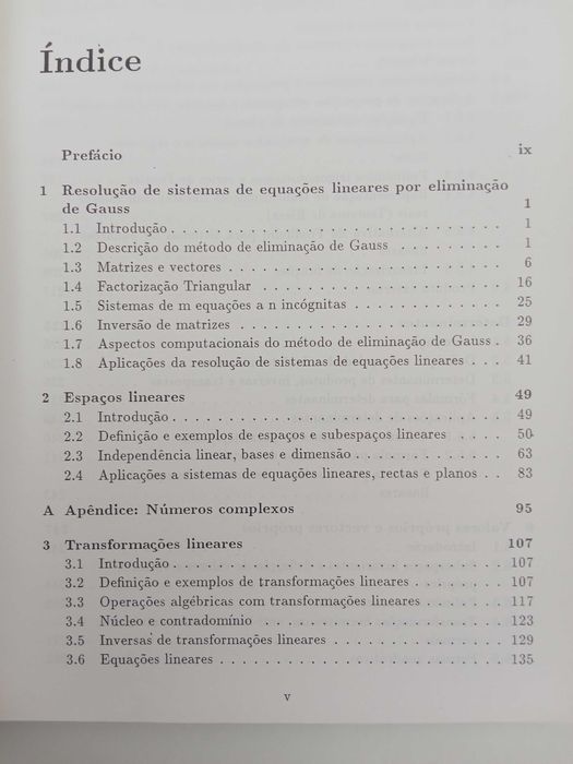 Álgebra Linear como introdução a Matemática Aplicada